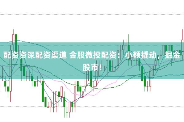 配资资深配资渠道 金股微投配资：小额撬动，掘金股市！