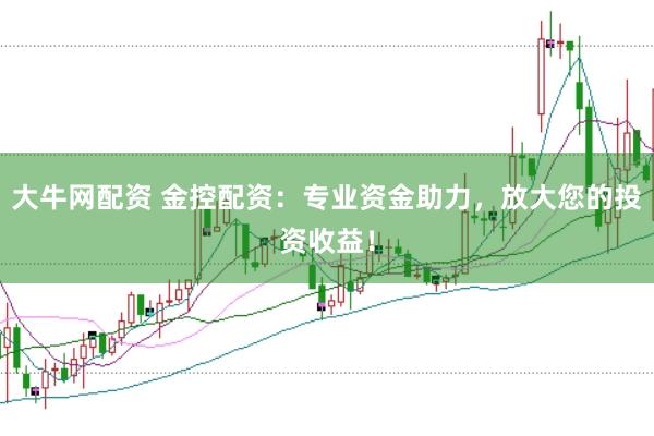 大牛网配资 金控配资：专业资金助力，放大您的投资收益！