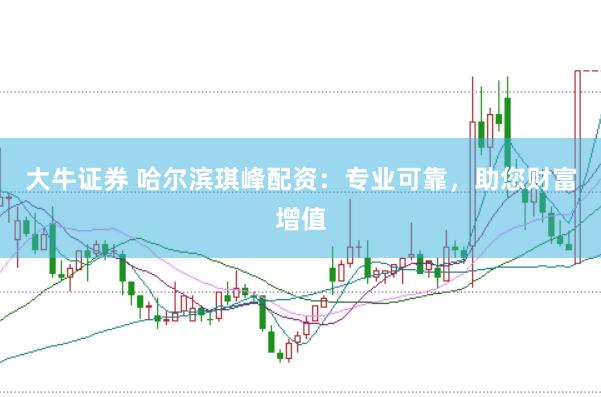 大牛证券 哈尔滨琪峰配资：专业可靠，助您财富增值