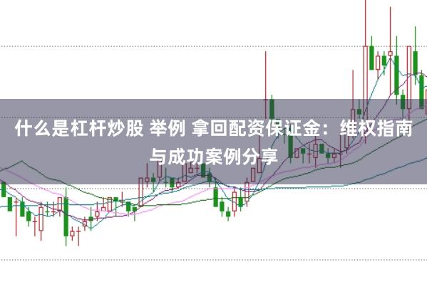 什么是杠杆炒股 举例 拿回配资保证金：维权指南与成功案例分享