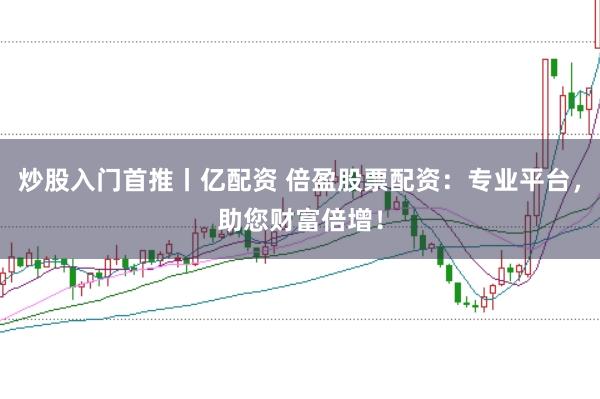 炒股入门首推丨亿配资 倍盈股票配资：专业平台，助您财富倍增！