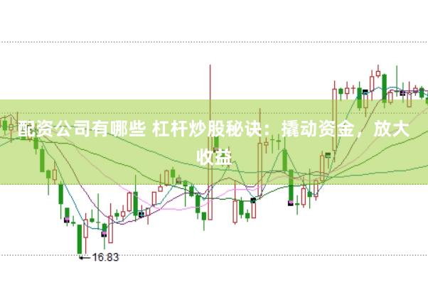配资公司有哪些 杠杆炒股秘诀：撬动资金，放大收益