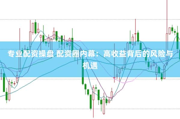 专业配资操盘 配资圈内幕：高收益背后的风险与机遇