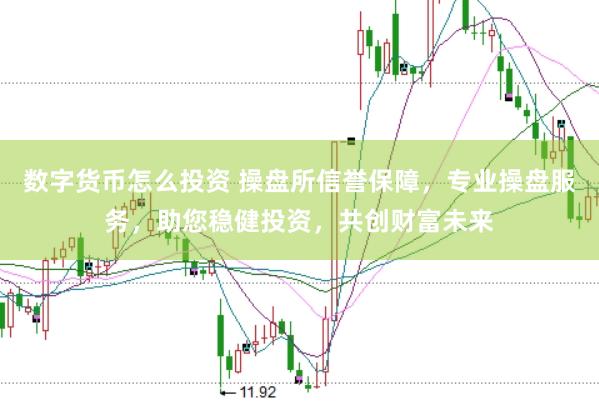 数字货币怎么投资 操盘所信誉保障，专业操盘服务，助您稳健投资，共创财富未来