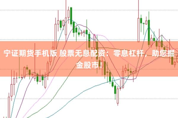 宁证期货手机版 股票无息配资：零息杠杆，助您掘金股市！