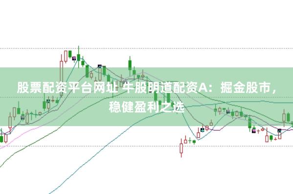 股票配资平台网址 牛股明道配资A：掘金股市，稳健盈利之选