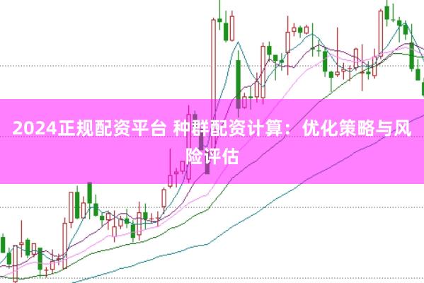 2024正规配资平台 种群配资计算：优化策略与风险评估