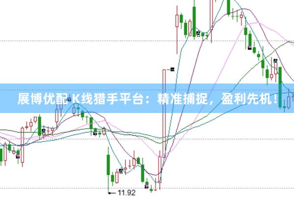 展博优配 K线猎手平台：精准捕捉，盈利先机！