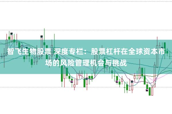 智飞生物股票 深度专栏:股票杠杆在全球资本市场的风险管理机会与挑战