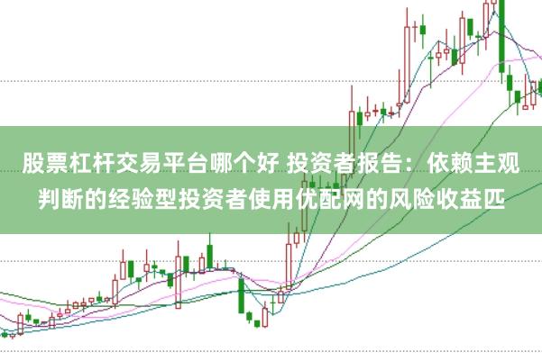 股票杠杆交易平台哪个好 投资者报告:依赖主观判断的经验型投资者使用优配网的风险收益匹